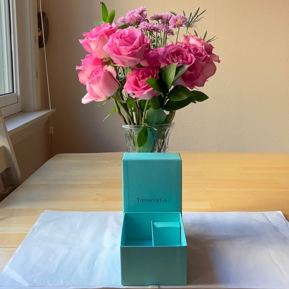 🎀  TIFFANY & CO. SILVER CARE KIT BOX 🎀 NWOT 🎀 - Picture 13 of 16